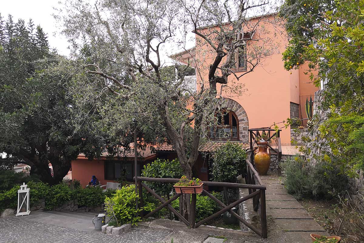 Nonno Luigino