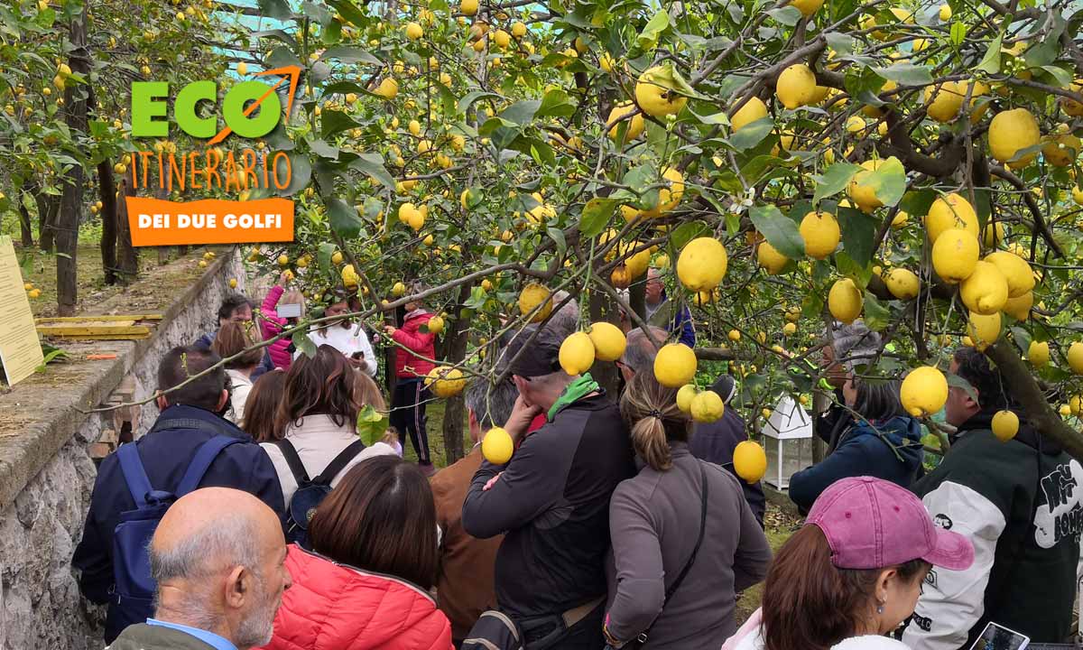 Ecoitinerari dei due golfi
