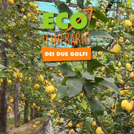 Un’immersione tra i sapori e i profumi della Costiera